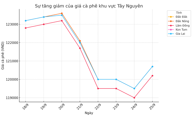 Bieu do gia ca phe ngay 25.9.2024_1727235160.png